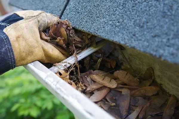 Gutter Cleaning Gutter Cleaning