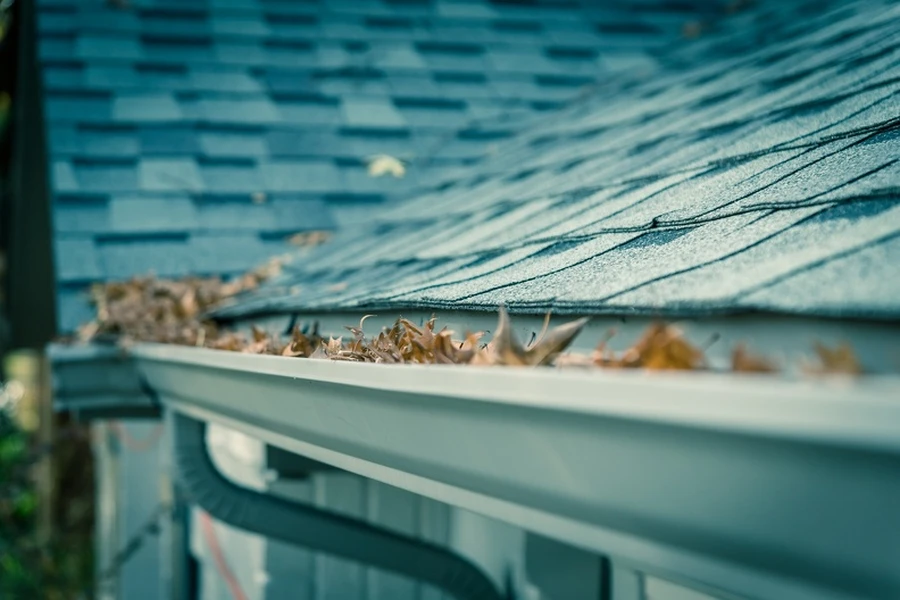 Why Regular Gutter Cleaning Prevents Home Water Damage in Oakwood, OH